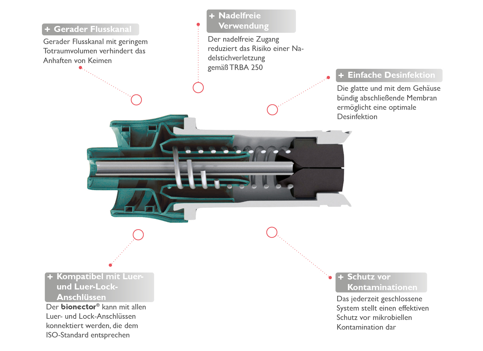 bionector-konnektionssystem-zoom bionector-konnektionssystem-zoom