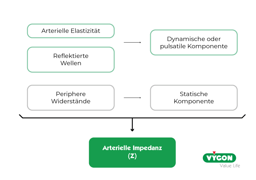 Arterielle-Impedanz-z