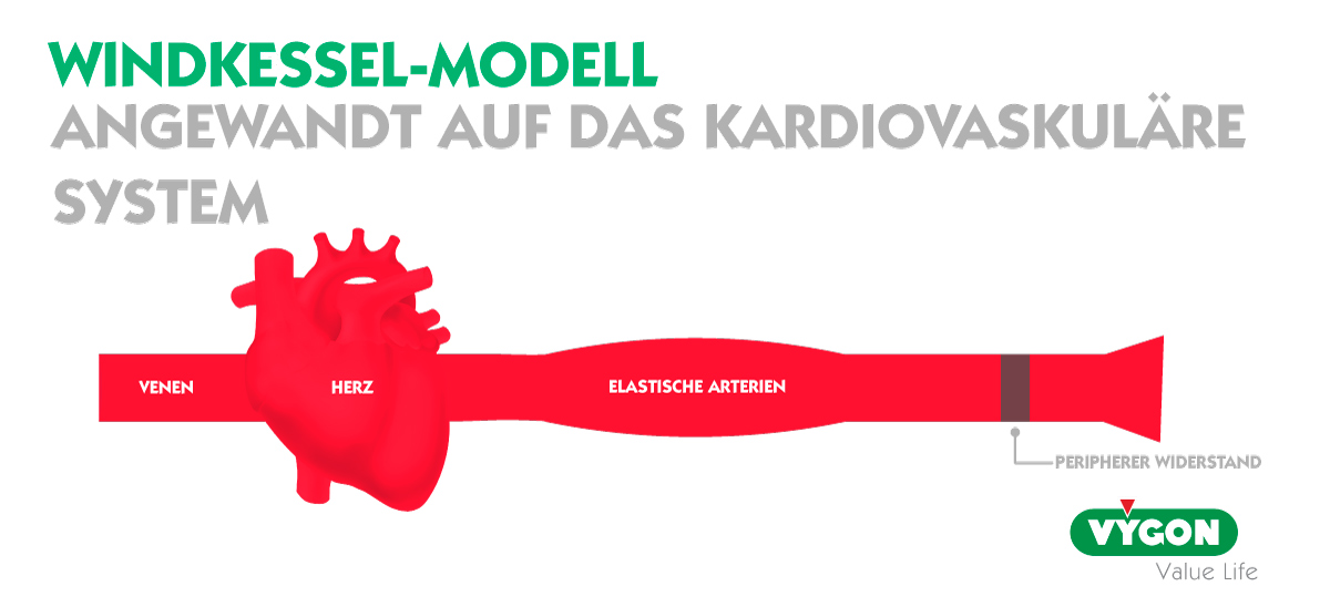 Windkessel-Modell-bild2